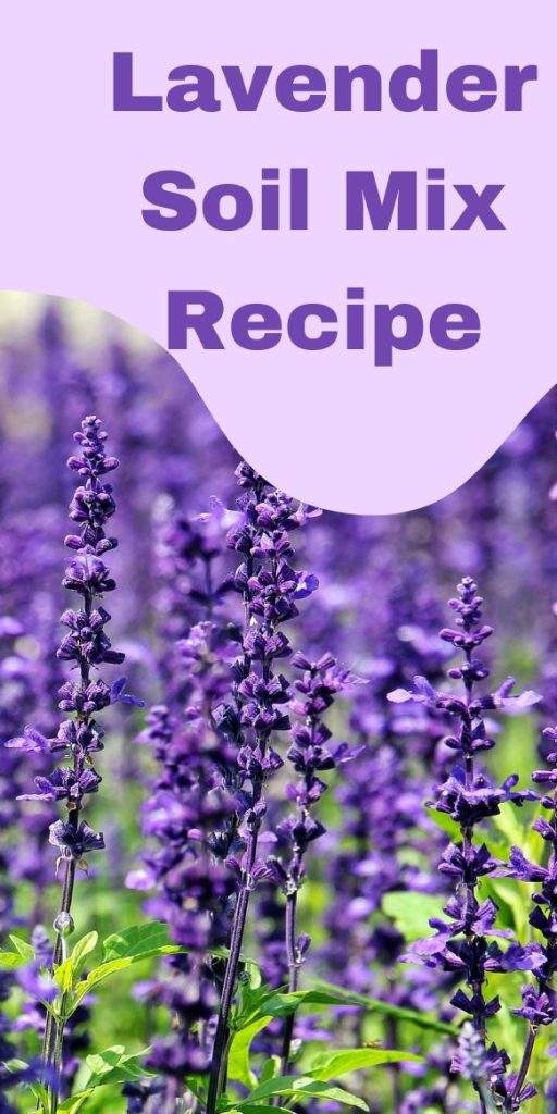 Lavender Soil Mix recipe